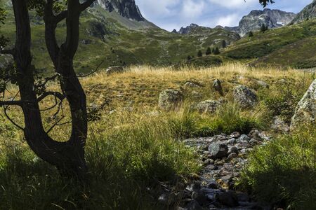Mountains, fields and torrent. French Alpsの写真素材
