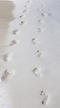 The couple footprints on the beach, walking along seashore.の写真素材