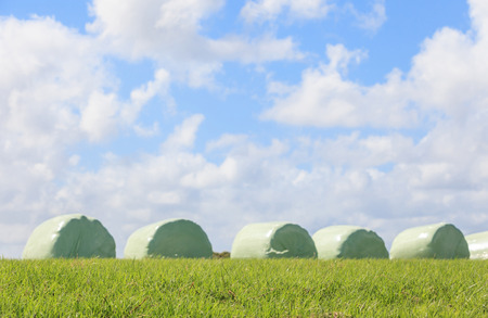 The blurry scene of white wrapped silage and sky background, in countryside New Zealand.