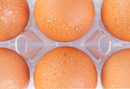 Fresh brown egg and water drops in plastic package on white background.