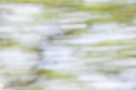 Fresh healthy green background with abstract blurred foliage in summer time.の写真素材