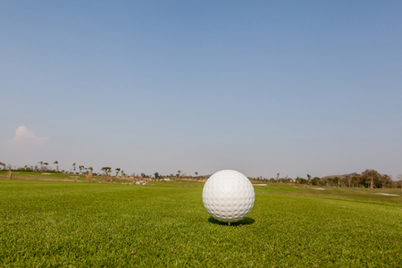 Golf ball on grass with the green background.の写真素材