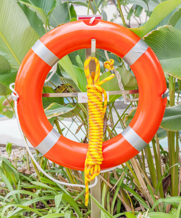 The orange life buoy is hanging around the swimming pool and green tree background, safety and rescue concept.の写真素材