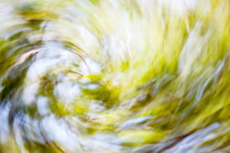 Blurred photo of sunlight in the green forest in spring time.の写真素材