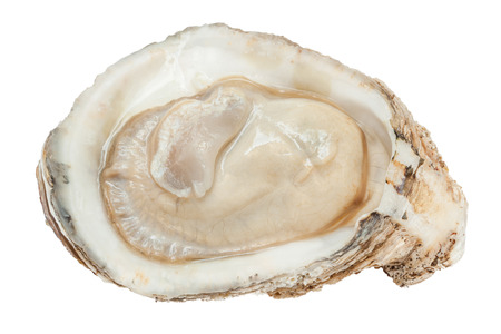 Close-up the raw fresh oyster texture, tasty concept.の写真素材