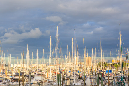 Auckland, New Zealand- December 9, 2013. Boats mooring at the Westhaven Marina.のeditorial素材