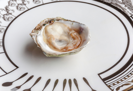 Opened raw fresh and juicy oyster served on luxury ceramic plate in seafood restaurant.の写真素材