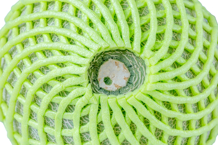 Top view close-up of sweet Japanese melon in green net foam protection, healthy eating concept.の写真素材