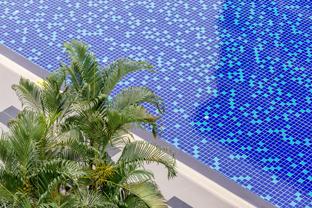 Top view of clear blue swimming pool and palm trees on poolside, relaxation and vacation concept.