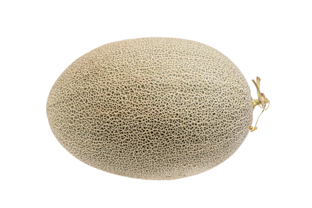 Hamigua melon (sweet cantaloupe melon) isolated on white background.の写真素材