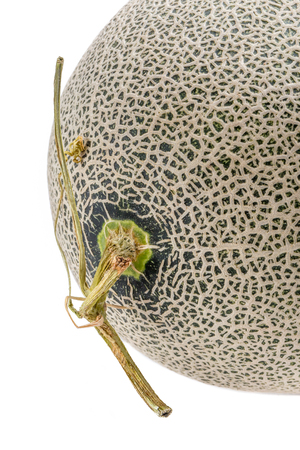 Close up the top of Hamigua melon (sweet cantaloupe melon) isolated on white background.の写真素材