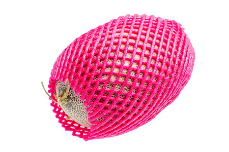 Hamigua melon (sweet cantaloupe melon) in red net foam protection isolated on white background.の写真素材