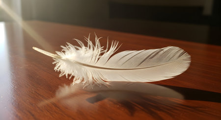 A single, delicate white feather rests on a polished wooden surface, illuminated by a gentle beam of sunlight. The soft light highlights the feather's fluffy texture and creates a peaceful, serene atmosphere. This still life image symbolizes lightness, purity, hope, and messages from angels.の素材