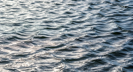 A close-up photograph captures the gentle ripples and small waves on the surface of water, creating a dynamic and shimmering texture. The evening or morning light reflects off the water, highlighting the intricate patterns and creating a calm and serene abstract background.の素材