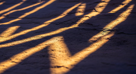 An abstract close-up photo captures long, dramatic shadows stretching across a textured surface of sand or salt during the golden hour. The warm, low-angled light creates a beautiful pattern of high contrast between the illuminated ridges and dark shadows.の素材
