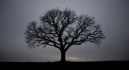A stark black silhouette of a large, bare tree with intricate branches against a dark, foggy, and moody gray sky. The tree stands alone on a hill. The image evokes a sense of loneliness, winter, or a spooky, desolate atmosphere.の素材
