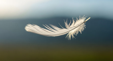 A single, delicate white feather is captured floating gently against a softly blurred background of blue sky and green nature. The image evokes a sense of lightness, freedom, peace, and serenity.の素材