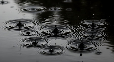 A close-up, high-contrast monochrome image of raindrops hitting a dark, still water surface. Multiple drops are captured mid-splash, creating a complex pattern of concentric ripples that intersect, evoking a sense of calm or melancholy.の素材
