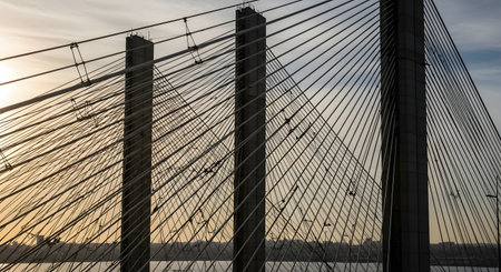 A silhouetted view of a modern cable-stayed bridge at sunset or sunrise. The three tall pylons and the complex web of support cables create a striking geometric pattern against the hazy, warm sky, representing engineering and infrastructure.の素材