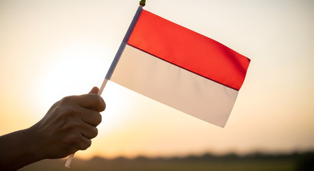 A person's hand holds up a small Indonesian flag, which is illuminated by the warm light of a setting sun in the background. This image evokes feelings of patriotism, national pride, and hope for the nation. It is perfect for Indonesian Independence Day or other national celebrations.の素材