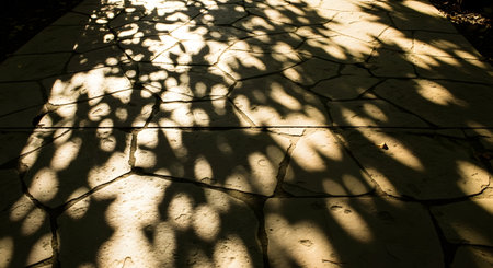 Dappled sunlight from a tree canopy casts intricate, moving shadows of leaves onto a warm-toned flagstone walkway. The high contrast between the bright light and dark shadows creates a beautiful, natural, and abstract pattern.の素材