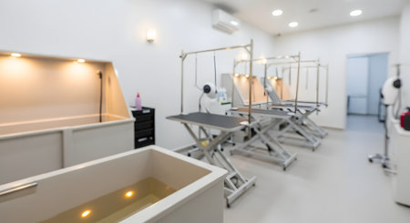A bright, clean interior of an empty pet grooming salon, shown with a shallow depth of field for a blurred background effect. Grooming stations with tables and a large bathing tub are visible, creating a professional and hygienic atmosphere.の素材