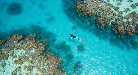 An aerial drone shot shows a person in snorkeling gear swimming in crystal-clear, turquoise ocean water. The snorkeler is floating above a vibrant coral reef, representing tropical vacation, marine life, and ocean exploration.の素材
