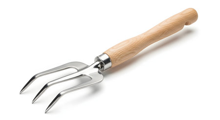 A studio shot of a small garden hand fork, or cultivator, with three metal tines and a smooth wooden handle. The gardening tool is isolated on a clean white background.の素材