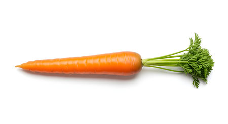A single fresh, whole orange carrot with its leafy green stems (tops) attached. The vegetable is lying horizontally and is isolated on a clean white background.の素材