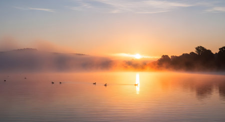 A serene sunrise casts a warm orange glow over a calm lake, with mist rising from the water's surface. A line of ducks swims peacefully across the water, creating small ripples. The distant hills and trees are partially obscured by the morning fog, creating a tranquil and beautiful landscape.の素材