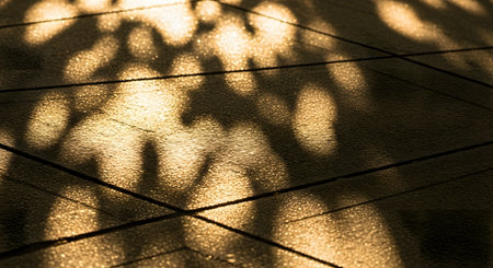 Golden sunlight filters through trees creating abstract patterns of leaf shadows on a paved surface. The high-contrast image highlights the texture of the ground and the interplay between light and dark.の素材