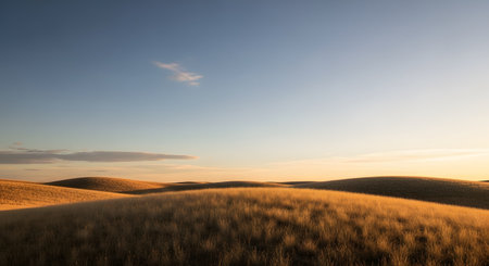 A breathtaking landscape of rolling hills covered in dry golden grass stretches towards the horizon under a soft sunset sky. The play of light and shadow on the undulating terrain creates a serene and vast panoramic view.の素材