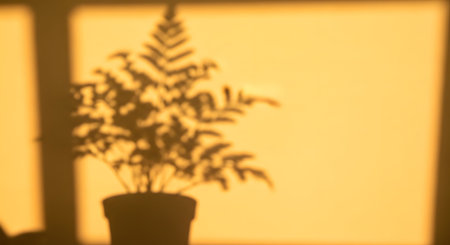 The silhouette shadow of a potted fern plant is cast against a warm, yellow-lit wall during golden hour. The image creates an artistic and atmospheric aesthetic, focusing on shapes, light, and interior mood.の素材