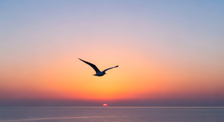A majestic silhouette of a seagull flying gracefully over a calm ocean during a stunning sunset. The sky features a beautiful gradient of soft orange, pink, and purple hues, reflecting gently on the water's surface.の素材