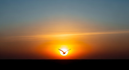 A silhouette of a bird flying directly across a bright sun during a vibrant orange sunset. The minimalist composition highlights the freedom of flight against the expansive horizon and colorful sky.の素材