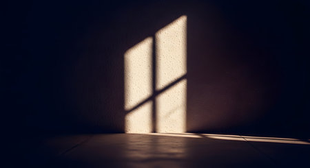 A dramatic play of light and shadow showing the silhouette of a window frame projected onto a textured wall and floor. The high-contrast image evokes a mood of solitude, mystery, or introspection within an empty room.の素材
