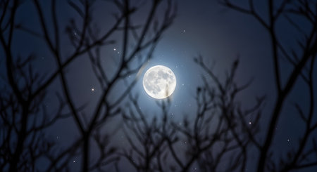 A bright full moon shines in a dark, starry night sky, framed by the silhouette of bare tree branches. The image creates a mysterious, spooky, or serene nocturnal atmosphere.の素材