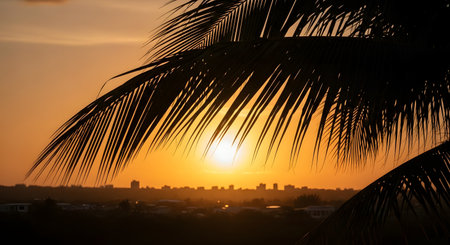A silhouette of coconut palm leaves framing a vibrant orange sunset over a distant city skyline. The warm, glowing sky and tropical foliage create a serene evening atmosphere.の素材