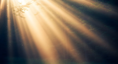 Majestic beams of sunlight, or 'God rays,' pierce through the dense canopy of a forest, illuminating the mist and trees. The dramatic lighting creates a spiritual, peaceful, and mysterious woodland atmosphere.の素材