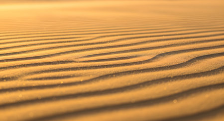 A mesmerizing texture of rippled sand dunes illuminated by the golden light of sunset. The repeating wavy patterns and warm yellow tones capture the beauty and vastness of the desert landscape.の素材