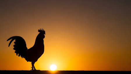 A silhouette of a rooster crowing against a vibrant golden sunrise. The sun is just rising on the horizon, creating a classic rural morning scene symbolizing a new day.の素材