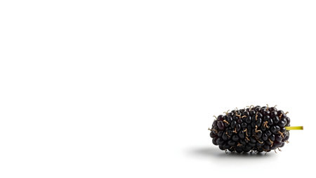 A single fresh black mulberry with a small green stem is isolated against a clean white background. The macro shot highlights the berry's bumpy texture and deep color, representing healthy organic fruit.の素材