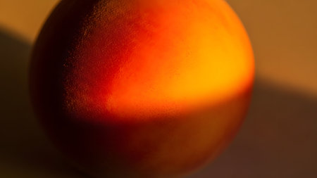 An abstract macro shot of a peach's surface, showcasing the gradient transition from deep red to golden yellow. The lighting accentuates the velvety texture and fine fuzz of the fruit's skin.の素材