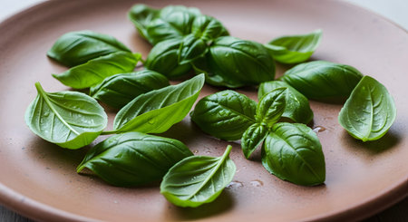 Fresh green basil leaves scattered on a brown earthenware plate. The herb appears crisp and ready to be used as a fragrant ingredient in cooking or garnishing.の素材