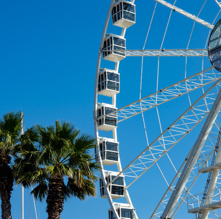 Ferris wheel in a sunny day green palm trees and clean blue skyin europe - Summer empty copy space area backgroundの写真素材