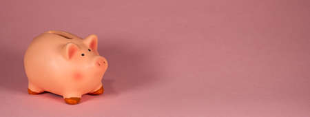 Small piggy bank on a pink backgroundの写真素材