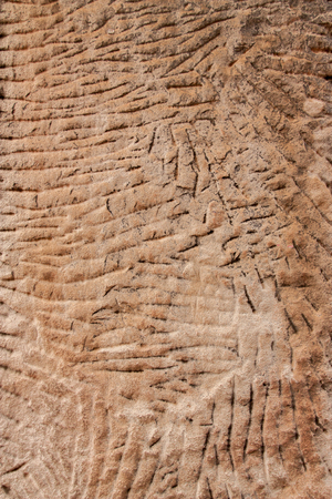 Textured old sand stoneの写真素材