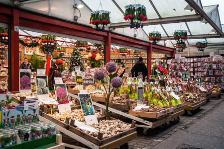 AMSTERDAM, HOLLAND - DECEMBER, 30: Amsterdam flower market (Bloemenmarkt). the world's only floating flower market and one of the main attractions of Amsterdam on 30 december 2012.のeditorial素材