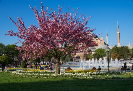 ISTAMBUL, TURKEY - APRIL, 18: Park in front of Hagia Sofia in the spring. Istanbul. Turkey on 11 april 2013のeditorial素材