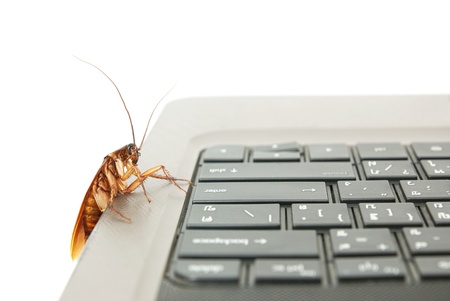 Cockroach climbing on keyboard to present about computer attacked from virusの写真素材